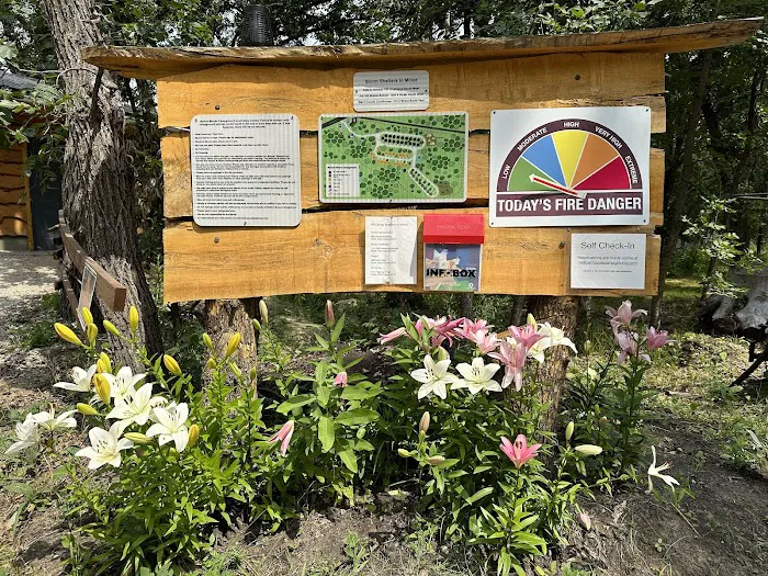 Mellow Moose Campground Picture 9