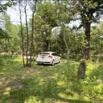 Mellow Moose Campground