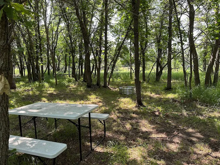 Mellow Moose Campground Picture 8