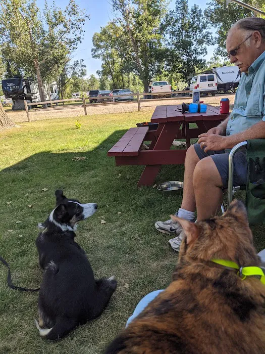 Roughrider RV Resort Picture 10