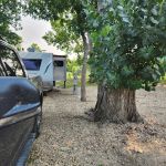 Roughrider RV Resort