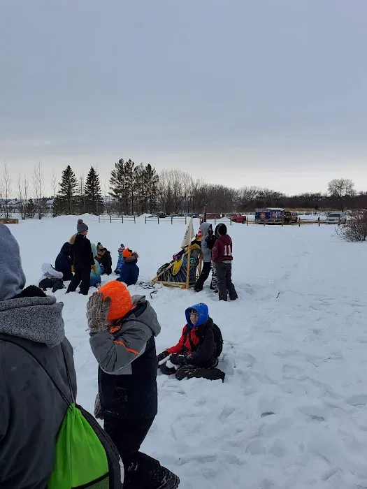 Big4 Scout Camp Picture 3