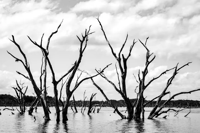 Coleto Creek Reservoir & Park Picture 6