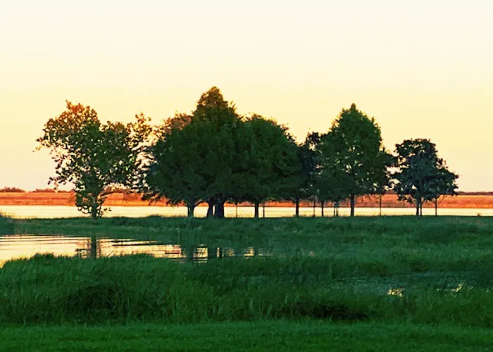 Coleto Creek Reservoir & Park Picture 2