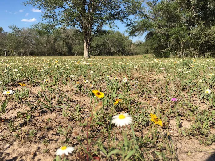 Dead End Creek LLC Picture 9