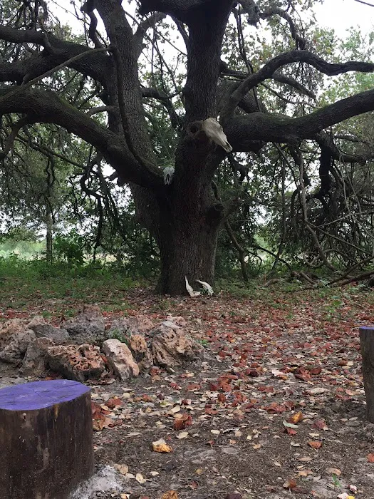 Dead End Creek LLC Picture 6