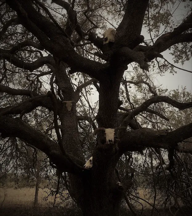 Dead End Creek LLC Picture 10