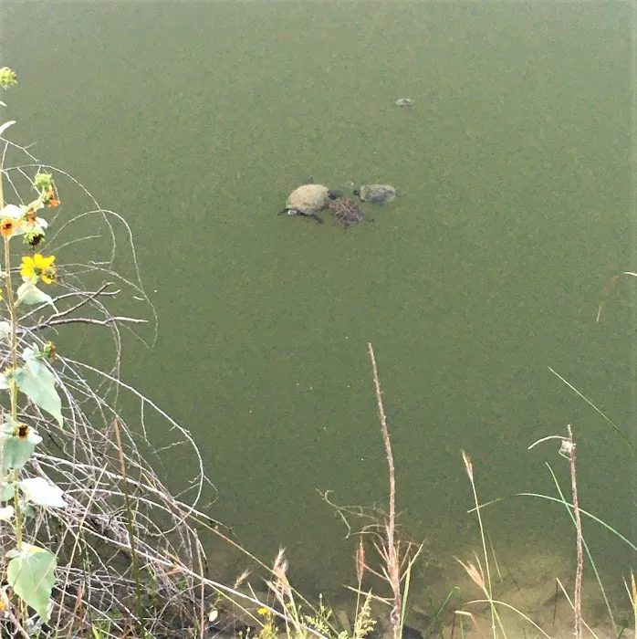 Dead End Creek LLC Picture 1