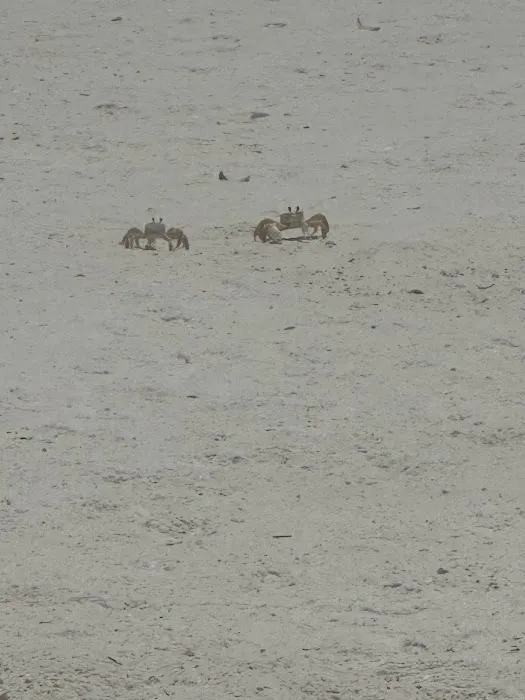 Escape to the Cape RV Picture 4