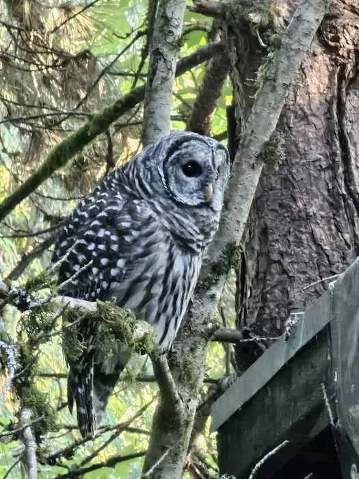 Port Susan Camping Club Administration Picture 2