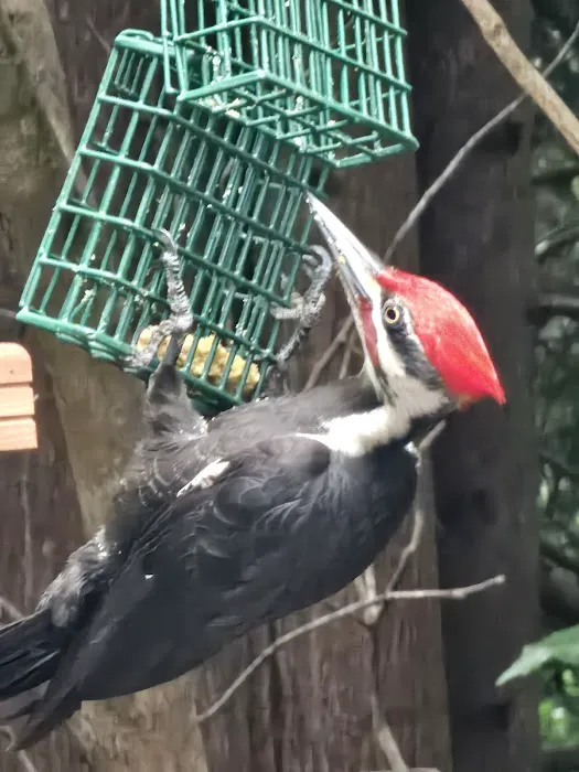 Port Susan Camping Club Administration Picture 1