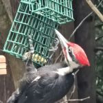 Port Susan Camping Club Administration