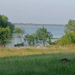 Willis Creek Park Group Camping Site