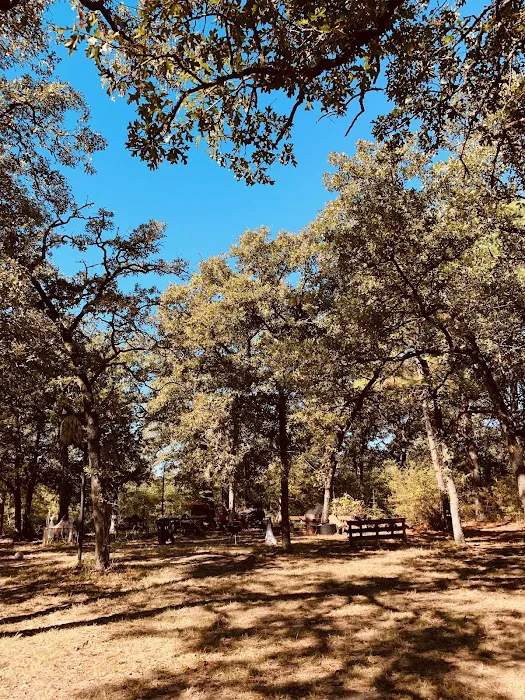 Tanglewood Hoya park Picture 10