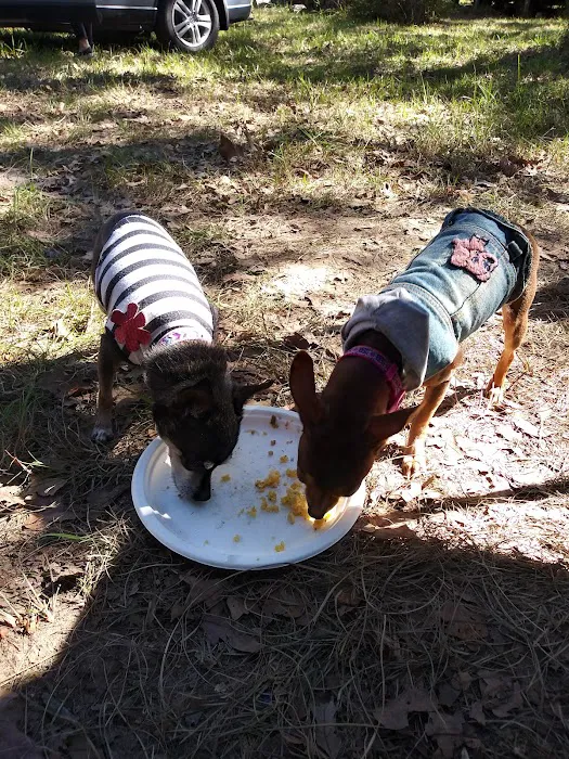 Tanglewood Hoya park Picture 6