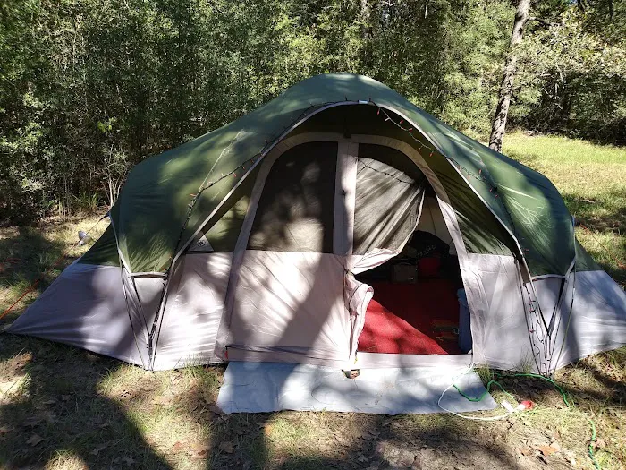 Tanglewood Hoya park Picture 1