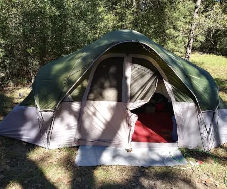 Tanglewood Hoya park