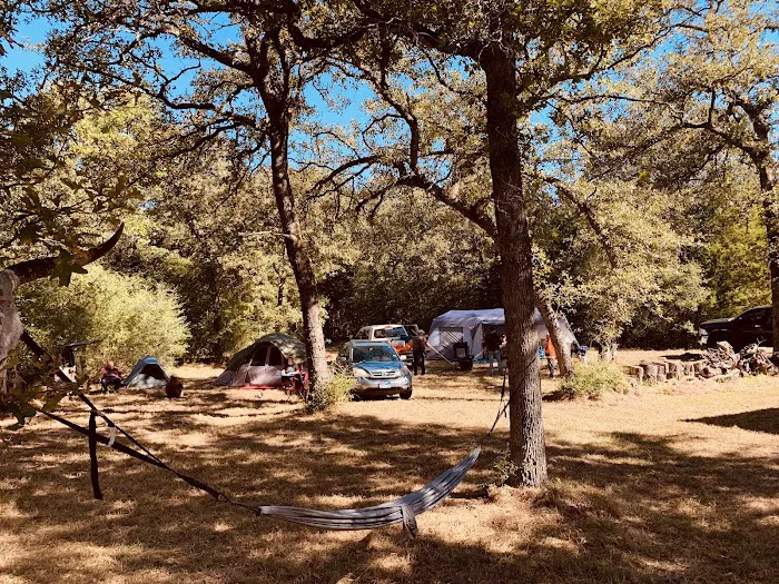 Tanglewood Hoya park Picture 9