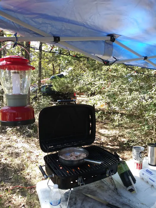 Tanglewood Hoya park Picture 7