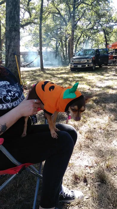 Tanglewood Hoya park Picture 2