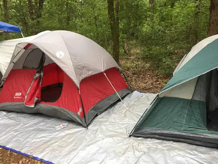 Texas Conference of Clubs Picture 2