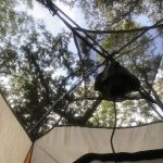 Texas Conference of Clubs