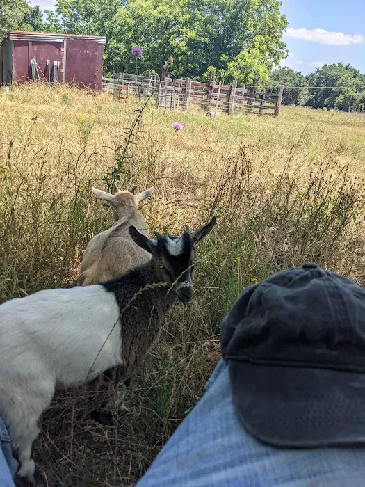 Paradise Acres Campgrounds Picture 2