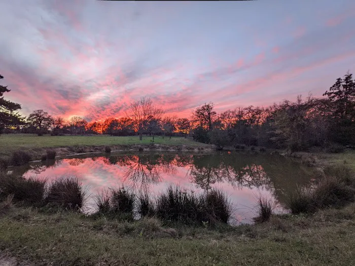 Paradise Acres Campgrounds Picture 1