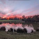 Paradise Acres Campgrounds