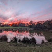 Paradise Acres Campgrounds ico