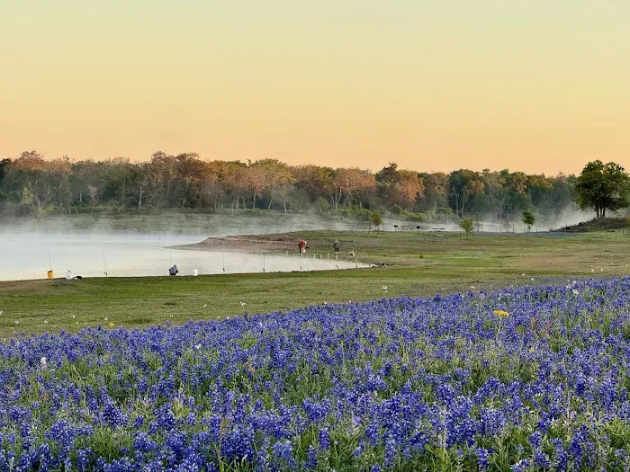 Somerville State Park Birch Creek Picture 2