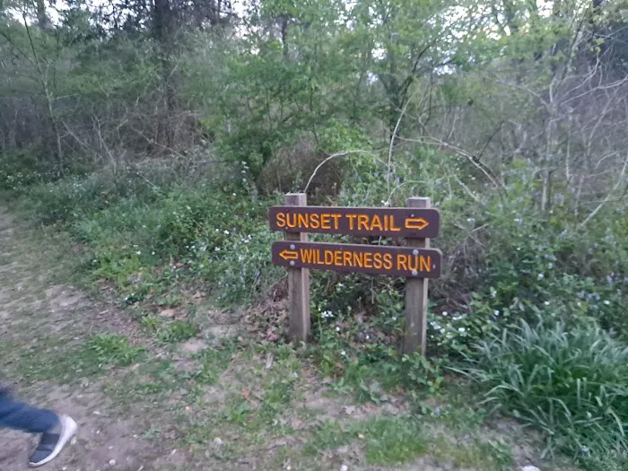Somerville State Park Birch Creek Picture 9