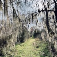 Nails Creek Unit ico