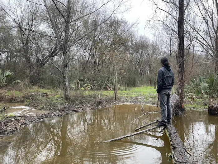 The Dam Spot Picture 2