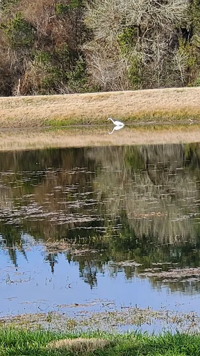 Artesian Rv Park and Campground Picture 1