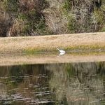 Artesian Rv Park and Campground