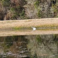 Artesian Rv Park and Campground ico