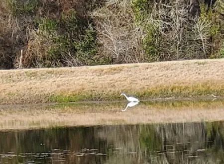 Artesian Rv Park and Campground