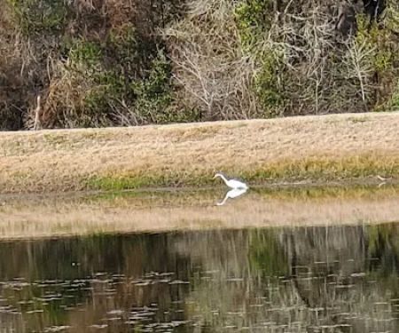 Artesian Rv Park and Campground