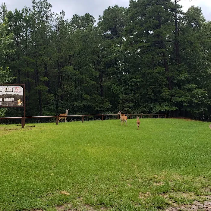 Piney Point (recgovnpsdata) Picture 10