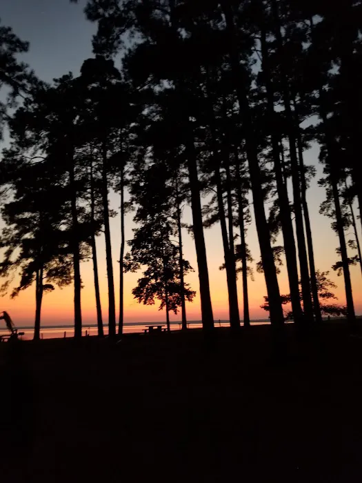 Piney Point (recgovnpsdata) Picture 5