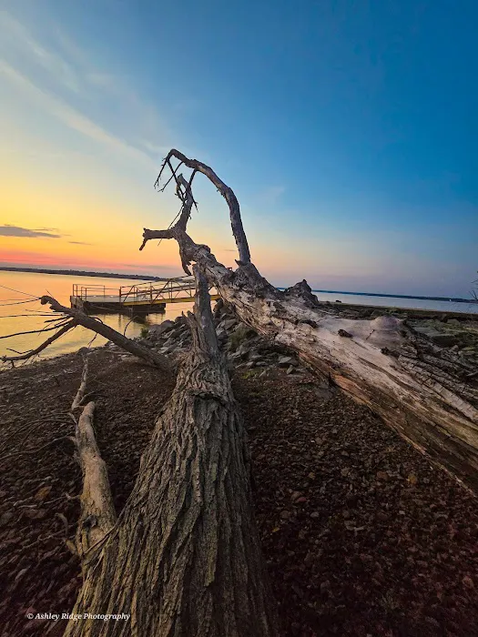 Piney Point (recgovnpsdata) Picture 6