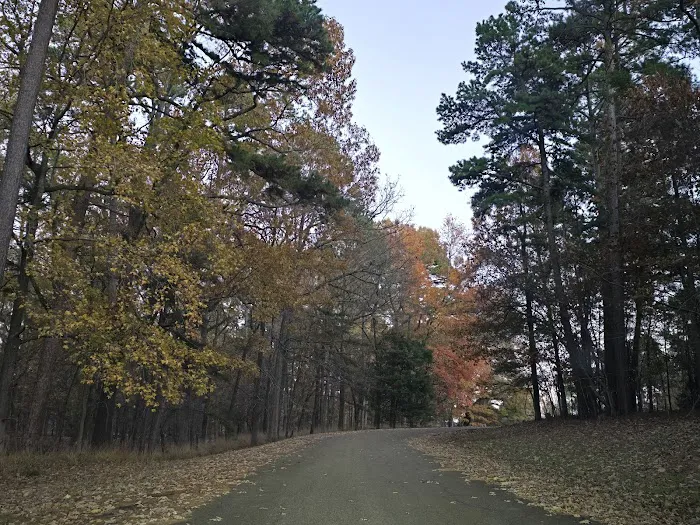 Piney Point (recgovnpsdata) Picture 7