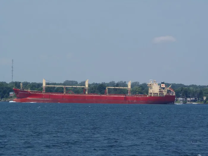 Shelato Cedar Springs Cottages Picture 6