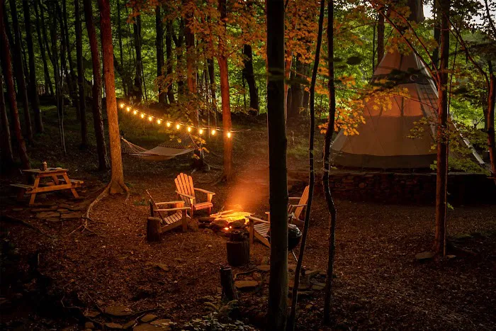 Backcountry Glamping & Wild Escapes, LLC Picture 3