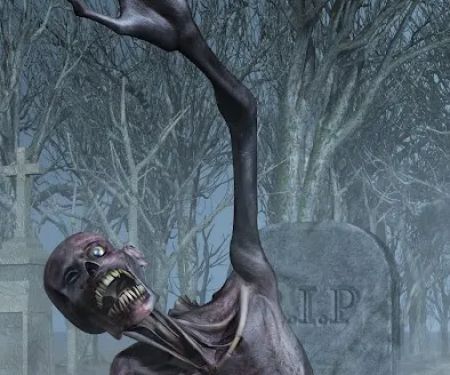 Mount Halley Campground and Wildlife Reservation