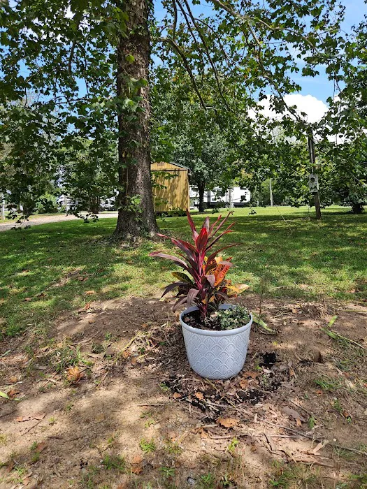 Sweet Dreams Redstone RV Park Picture 8