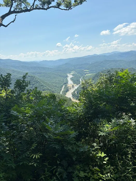 Gibson Girls Horse Hotel, LLC Picture 2