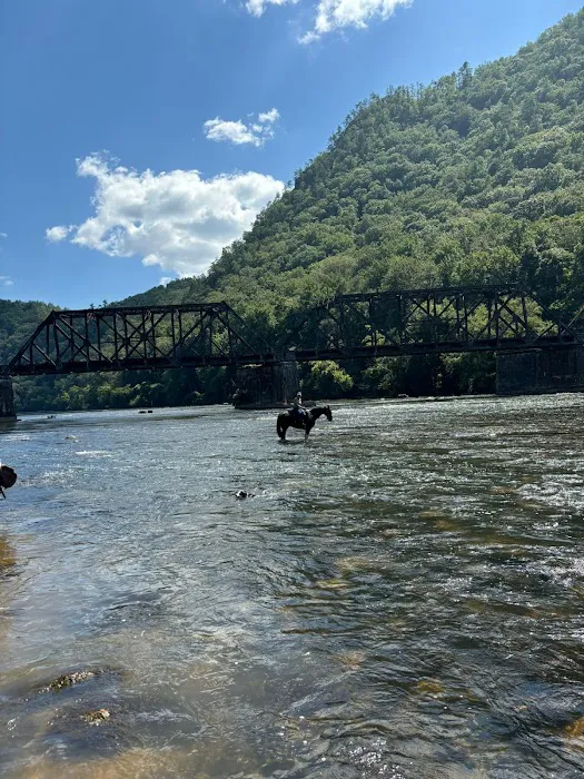 Gibson Girls Horse Hotel, LLC Picture 1