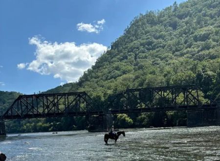 Gibson Girls Horse Hotel, LLC